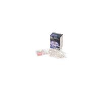 Guirlande en fil d'argent EDM - esprit de Noël - multicolore - 100 micro-LED - 1,5 m - 71276 G