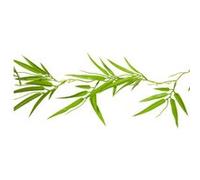 HOBI Guirlande Feuilles Bambou ARTIFICIELLES 1.2M Vert