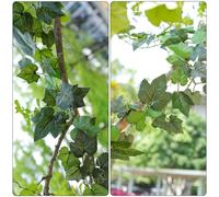 Guirlande Lierre Artificiel 2x2m, Feuillage Ignifuge. Idéale pour décoration Mur et Jardin avec nos Produits Faux Lierre Decoration. Parfait pour Lierre Artificiel Guirlande.