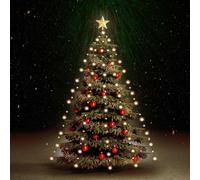 Guirlande Lumineuse 210 LED d'Intérieur Extérieur Eclairage Jardin vidaXL