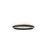 Guirlande Lumineuse Ø40 Noir