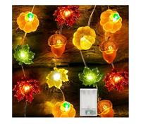 Guirlande lumineuse, 5 m, 50 LED, déco automne citrouille, érable et gland | Guirlande à piles, 2 modes, 3 AA non incluses, décoration Halloween, Thanksgiving et Noël, intérieur ou extérieur abrité