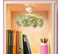 Guirlande lumineuse à plumes vert sauge pour casier magnétique, accessoires de casiers mignons, lampe décorative pour casier d'école, accessoires essentiels pour casier d'école, accessoires de casier