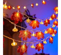 Guirlande lumineuse citrouille et feuille d'érable avec 20 LED, fonctionne à piles, pour décoration d'automne et d'Halloween, compatible intérieur et extérieur (3 mètres, 20 lumières (3