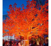 Guirlande Lumineuse Core Connect 50m 500 LED Ambre Câble Transparent Raccordable