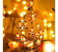 Guirlande lumineuse de Père Noël, Surwin Intérieur et Extérieur Décoration Lumière de Noël à Piles pour Jardin, Mariage, arc-en-ciel Sapin de Noël (père Noël,3M/30LED)
