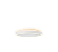 Guirlande Lumineuse de Plafond Ø40 Blanc