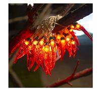 Guirlande Lumineuse décorative à LED, luminaire Suspendu pour Mur de Chambre, Guirlande Lumineuse à poivron Rouge, luminaire décoratif féerique à lumière Chaude pour Jardin, Maison, fête, Mariage