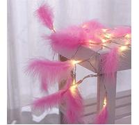 Guirlande lumineuse - GIGICIAL - 2,2 m - 20 LED - Plumes artificielles - Décoration intérieure