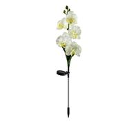 Guirlande lumineuse int,Lampe Solaire pour Décoration Extérieure de Jardin,Papillon,Orchidée,Fleur,Rose,Lys,Cour- Orchid[C263]