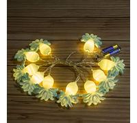 Guirlande Lumineuse LED extérieur et intérieur, Petite Lanterne à LED, décoration de la Vie Marine, lumières de Patio extérieures adaptées à l'éclairage de Noël, décoration de Poulpe