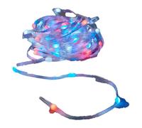 Guirlande lumineuse LED Multicouleur (10 m)