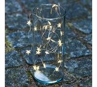 Guirlande Lumineuse Led Trille, 20 Lampes transparent, argenté