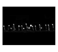 Guirlande lumineuse programmable 48 LED Blanc