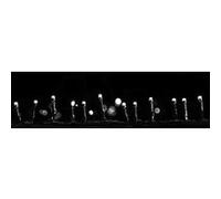 Guirlande lumineuse programmable 48 LED Blanc