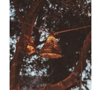 Guirlande lumineuse solaire nature maro