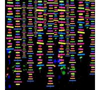 Guirlande néon en papier UV de 18,3 m - Fournitures et décorations de fête phosphorescentes - Réactif à la lumière noire - Kit de fête pour anniversaire, mariage