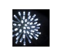 Guirlande programmable 300 LED 30 mètres blanc froid FT