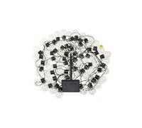 Smart Garden Guirlande solaire GloBulb 40 ampoules LED blanc chaud plastique 10 lumens 18,4 m