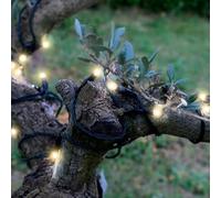 BLACHÈRE ILLUMINATION-Guirlande lumineuse extérieure animée blanc chaud à LED solaire - 1,2 x 20 m