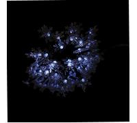 Guirlande solaire LED blanc froid WERKA PRO 6.5M (30LED)