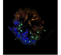 Guirlande solaire LED multicolore 3 dimensions - WERKA PRO 6.5M (30 LED)