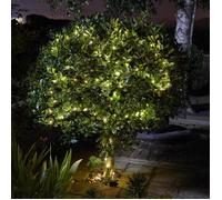 Guirlande solaire - SMART GARDEN - 50 lucioles - Blanc chaud - Autonome - LED