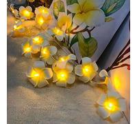 Guirlandes Artificielles de Plumeria, Mousse de Frangipanier 3M 20LED Guirlandes Lumineuses Oeuf Fleur pour Chambre Mariage Maison Hawaïenne Plage Fête Cheveux Décor (Alimenté par Pile, Blanc)