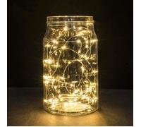 Guirlandes lumineuses LED à piles - VIPITH - 50 LED - Blanc Chaud - Intérieur/Extérieur