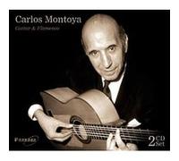 Guitar and flamenco