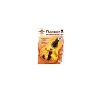 Dennis koster : guitar atlas : flamenco - your passport to a new world of music - recueil + cd