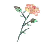 Guitar Sticker Rose - Magnolia Bird Headstock Decal