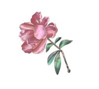 Guitare Couche Incrust Sticker Guitare Pild Autocollant Autocollant Amovible Sticker Guitar Decoration Stickers Enduring