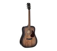 Guitare Earth60M Noir Degrade