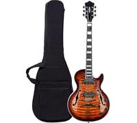 Guitare Électrique Pour Débutant Guitare Électrique À Corps Semi-creux, Bobines Fendues, Housse De Transport, Style Vintage Sunburst(Brown)