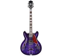 Guitare Électrique Semi-hollow Body 6 Cordes Taille Standard Avec Étui Guitare Électrique Débutants(Purple)