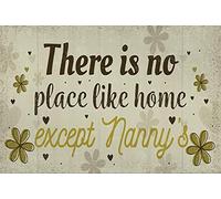 Guktmcet Plaque en métal vintage avec inscription « There is no place like home except Nanny''s Nan » pour Noël, anniversaire, cadeau pour chambre à coucher, café, magasin, garage, 20,3 x 30,5 cm