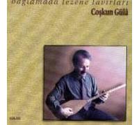 Gula, Coskun - Baglamada Tezene-Attitudes in Sa [Import]