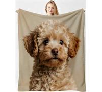 Gumntun Couverture 3D 150x200 Chien Teddy Marron Polaire Peluche-A28