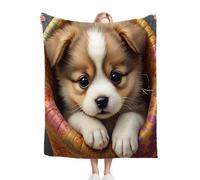 Gumntun Couverture en flanelle chaude et moelleuse pour chien de compagnie - Jeté de lit et fauteuil - En peluche douce et confortable - Cadeau pour garçons et filles - 100 x 130 cm - Jaune