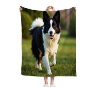 Gumntun Plaid Polaire 200x220 Berger Allemand Noir Adolescent, Impression Couverture en Polaire Microfibre, Confortable et Rrespirante Couverture de Lit pour Adultes et Enfants Rester Chaud en Hiver