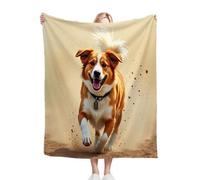 Gumntun Plaid Polaire 220x240 cm Adulte Corgi Gallois, Jacquard 3D Imprimé Jeté de Canapé, Flanelle Chaudes Légères Douce Couvertures pour Adolescents et Adultes A818