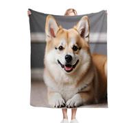 Gumntun Plaid Polaire 220x240 cm Adulte Corgi, Jacquard 3D Imprimé Jeté de Canapé, Flanelle Chaudes Légères Douce Couvertures pour Adolescents et Adultes_2813a_2813a