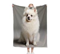 Gumntun Plaid Polaire Enfant 130x150 Chihuahua Blanc, Duveteuse Respirable Couverture Enfants 130x150 cm, Jeté de Canapé Chauffante en Polaire Microfibre pour Toutes Saisons_80a