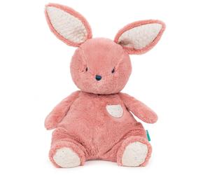 GUND Cuddly Fun Rabbit