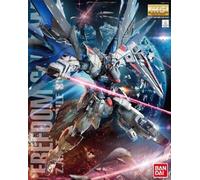 Bandai Maquette Freedom Gundam MG 1 100