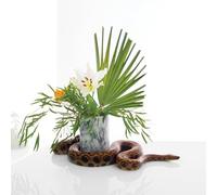 Gundersen, Noah - White Noise