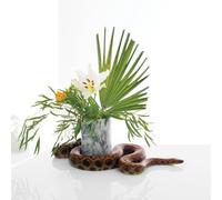 Gundersen Noah - White Noise [Import]