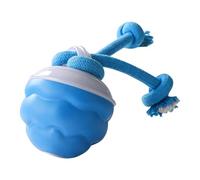 Gungtj Interactive Dog Ball, Activated Rolling Toy, Squeaky Rolling Ball, USB Rechargeable, Touch Motion Smart for Puppies and Cat, Sturdy Construction, 2.95x2.95x4.33 inches