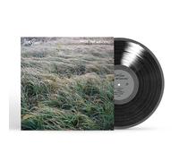 Gunn, Steve - Music for Writers